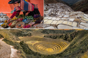 collage maras moray